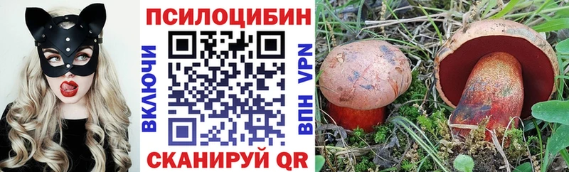 Псилоцибиновые грибы GOLDEN TEACHER  Зеленокумск 