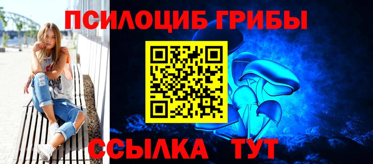 Галлюциногенные грибы Cubensis Зеленокумск